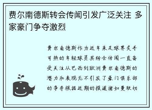 费尔南德斯转会传闻引发广泛关注 多家豪门争夺激烈